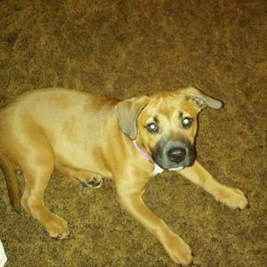 Meet your Posher, Emma